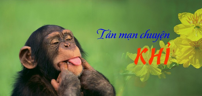 Tản mạn chuyện Khỉ