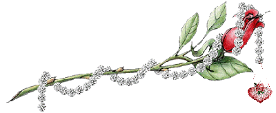 Hinh-anh-dong-dep-ve-hoa-hong-ruc-ro-sac-mau- (28)