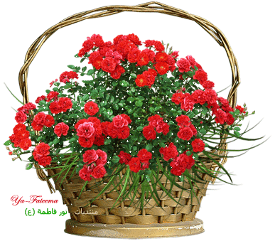 13484247211_zpsuse8yzgm