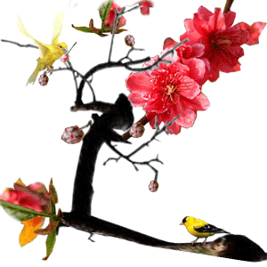 CHIMCCANHDao_zpsbsjppfcd