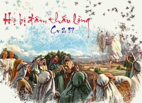 ho bi dau don trong long