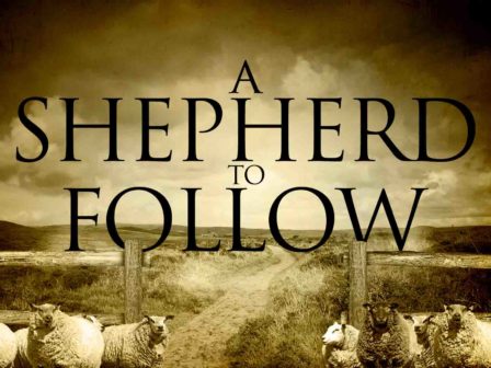 shepherd-to-follow
