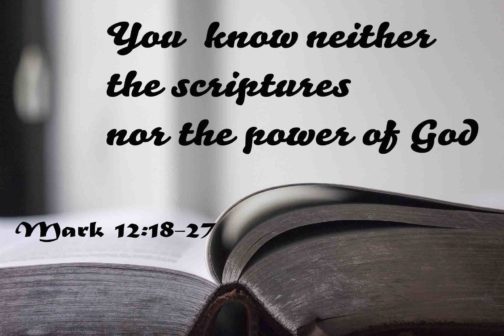 Không biết Kinh Thánh là không biết Đức Kitô
