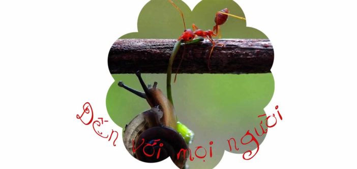 đến với mọi người