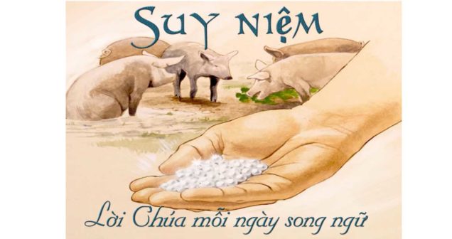 đừng ném ngọc trai cho heo