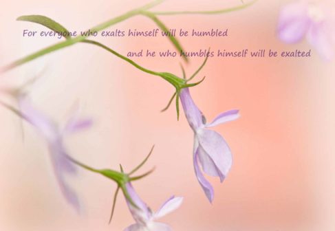 ai hạ mình xuống sẽ được nâng lên 1