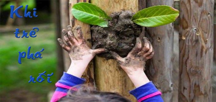 khi tre pha roi