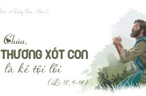 Lạy Chúa, xin thương xót con là kẻ tội lỗi – CN 30 TN, năm C
