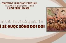 PowerPoint và bài giảng lễ Thiếu Nhi – Lễ Các Đẳng Linh Hồn