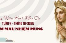Suy niệm Kinh Mân Côi – Tuần 4 – Tháng 10/2025