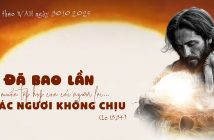 Đã bao lần Ta muốn tập họp con cái ngươi lại… – SN theo WAU ngày 30.10.2025