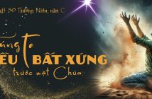 Chúng ta đều bất xứng trước mặt Chúa – Chúa Nhật 30 TN, năm C