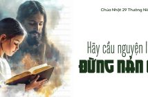 Hãy cầu nguyện luôn đừng nản chí – CN 29 Thường Niên, năm C