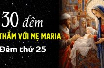 30 đêm thì thầm vói Mẹ Maria – Đêm thứ 25