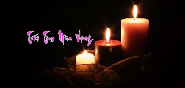 Thơ: Trái Tim Mùa Vọng