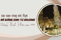 Cây vân sam vùng núi Alps và Hang đá Giáng Sinh từ Salerno cho Quảng trường Thánh Phêrô năm 2025