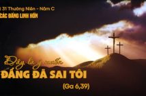 Đây là ý muốn của Đấng đã sai tôi – Lễ các đẳng Linh Hồn