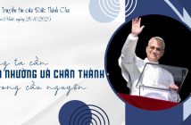 Huấn từ Kinh Truyền tin của Đức Thánh Cha – Chúa Nhật, ngày 26.10.2025