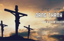 Suy niệm Đàng Thánh Giá – Tháng 11/2025