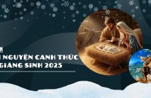 Kịch bản diễn nguyện Canh thức Giáng sinh 2025