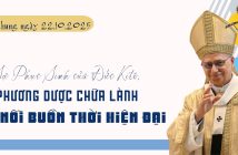 Đức Thánh Cha Lêô XIV – Tiếp kiến chung ngày 22.10.2025
