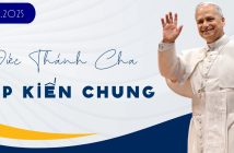 Đức Thánh Cha tiếp kiến chung, ngày 15.10.2025