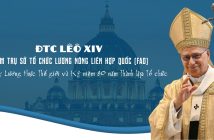 ĐTC Lêô XIV thăm Trụ sở tổ chức lương nông liên hợp quốc (FAO) nhân ngày Lương thực thế giới