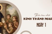 Tuần tam nhật kính Thánh Martino – Ngày 1