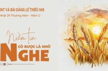 PowerPoint và bài giảng lễ Thiếu Nhi – CN 29 TN – Năm C