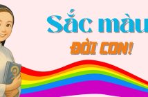 Sắc màu đời con