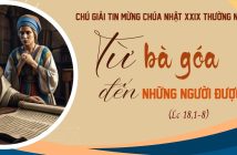 Từ bà góa đến những người được chọn – Chú giải Tin Mừng CN 29 TN C