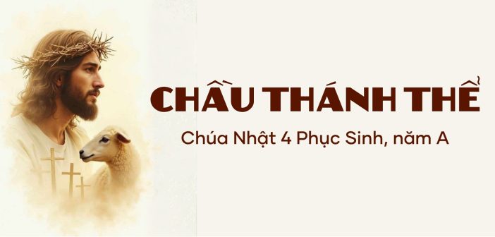 Chầu Thánh Thể – Chúa Nhật 4 Phục Sinh, năm A