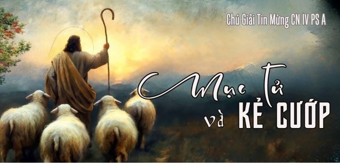 Mục tử và kẻ cướp – Chú giải Tin Mừng CN IV PS A