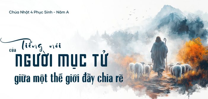 Tiếng nói của người mục tử giữa một thế giới đầy chia rẽ – CN 4 PS, năm A
