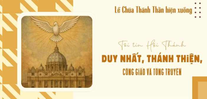 Tôi tin Hội Thánh duy nhất, thánh thiện, công giáo và tông truyền – Lễ Chúa Thánh Thần hiện xuống