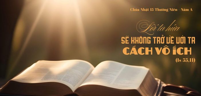 Lời ta hứa sẽ không trở về với ta cách vô ích – CN 15 Thường Niên, năm A