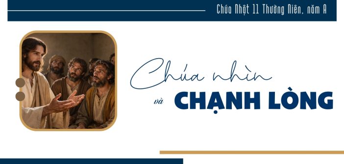 Chúa nhìn và chạnh lòng – Chúa Nhật 11 Thường Niên, năm A