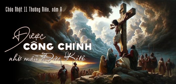 Được công chính nhờ máu Đức Kitô – Chúa Nhật 11 Thường Niên, năm A