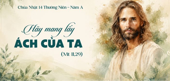 Hãy mang lấy ách của Ta – Chúa Nhật 14 Thường Niên, năm A