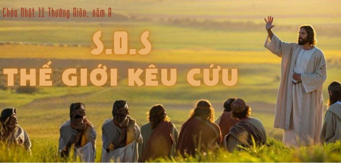 S.O.S. thế giới kêu cứu – Chúa Nhật 11 Thường Niên, năm A