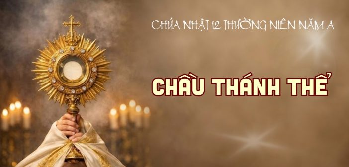 Chầu Thánh Thể – Chúa Nhật 12 Thường Niên, năm A