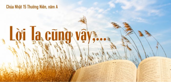 Lời Ta cũng vậy,… – Chúa Nhật 15 Thường Niên, năm A