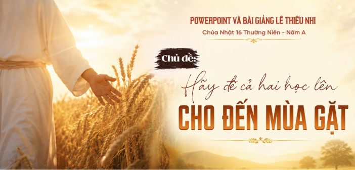 PowerPoint và bài giảng lễ Thiếu Nhi – Chúa Nhật 16 Thường Niên, Năm A