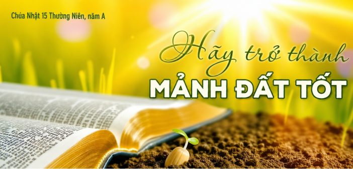 Hãy trở thành mảnh đất tốt – Chúa Nhật 15 Thường Niên, năm A