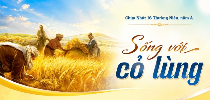 Sống với cỏ lùng – Chúa Nhật 16 Thường Niên, năm A