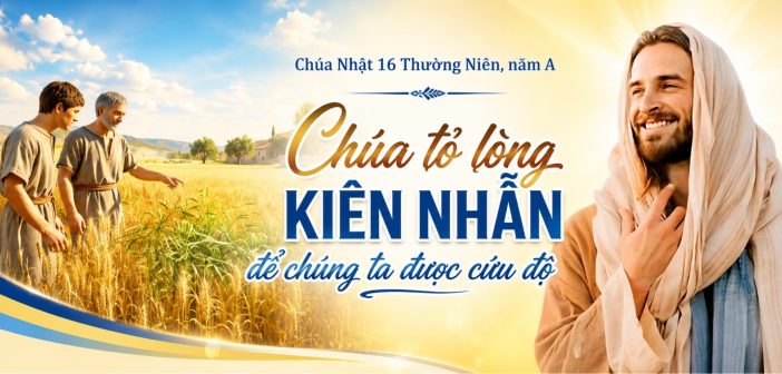 Chúa tỏ lòng kiên nhẫn để chúng ta được cứu độ – CN 16 TN, năm A