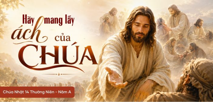 Hãy mang lấy ách của Chúa – Chúa Nhật 14 Thường Niên, năm A