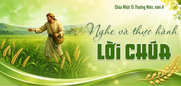 Nghe và thực hành Lời Chúa – CN 15 Thường Niên, năm A