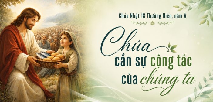 Chúa cần sự cộng tác của chúng ta – Chúa Nhật 18 Thường Niên, năm A