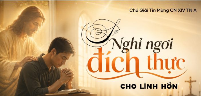 Sự nghỉ ngơi đích thực cho linh hồn – Chú Giải Tin Mừng CN XIV TN A